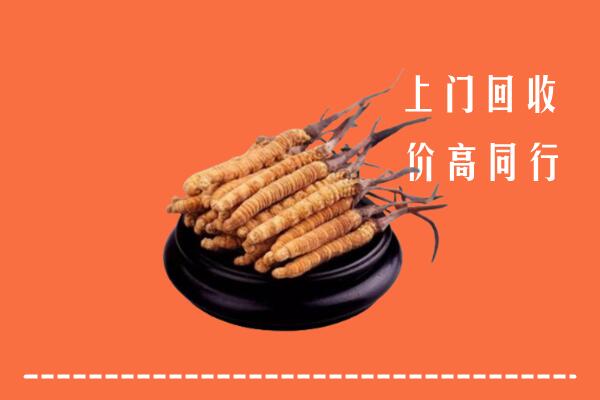 高价求购：朝阳市回收散虫草