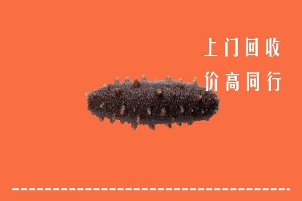 高价求购：朝阳市回收海参