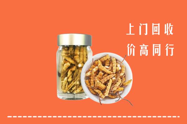朝阳市回收冬虫夏草